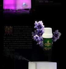 静享香氛，唤醒活力——香之源迷你香薰机测评